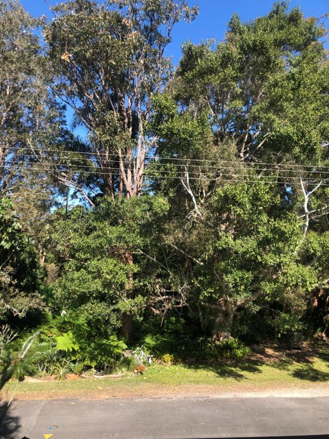 Brunswick Heads Treetop Studio Apartment Exterior photo